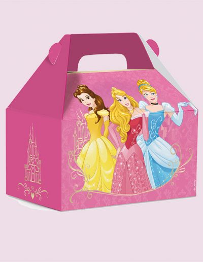 Walt_Disney_Princess_Caixa_Maleta_Kids_Sonho_de_Princesa_Real