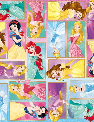 Walt_Disney_Princess_Dress